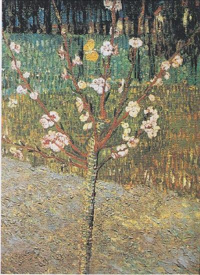 Vincent Van Gogh Flowering almond tree France oil painting art